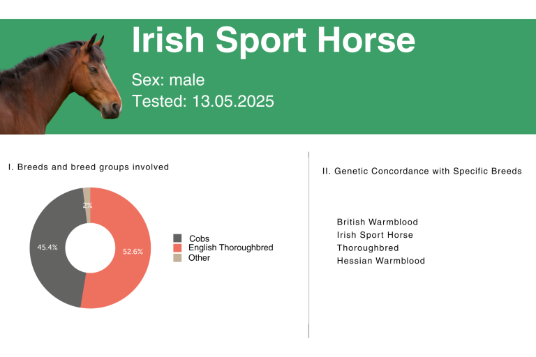 BreedAnalysis_IrishSportHorse