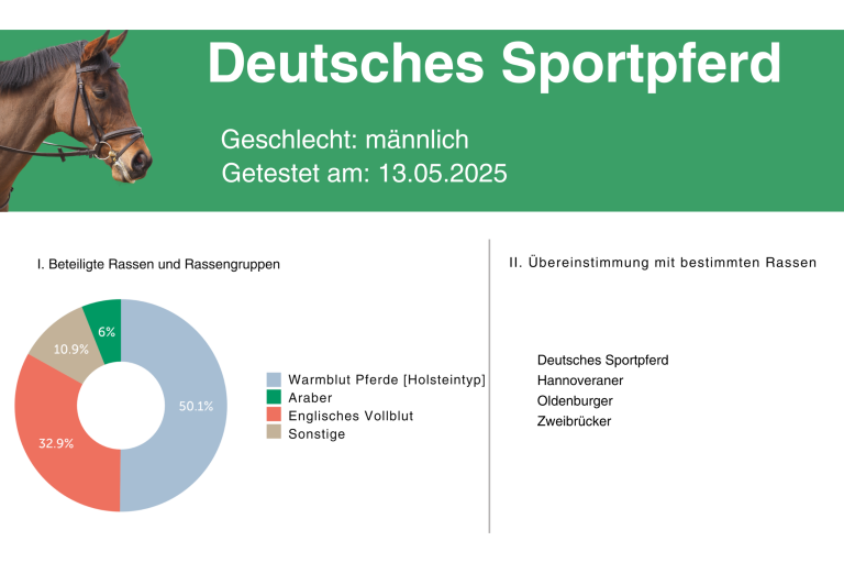 Rassenanalyse_DeutschesSportPferd
