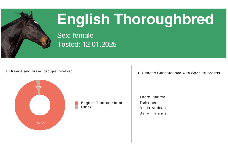 BreedAnalysis_Thouroughbred