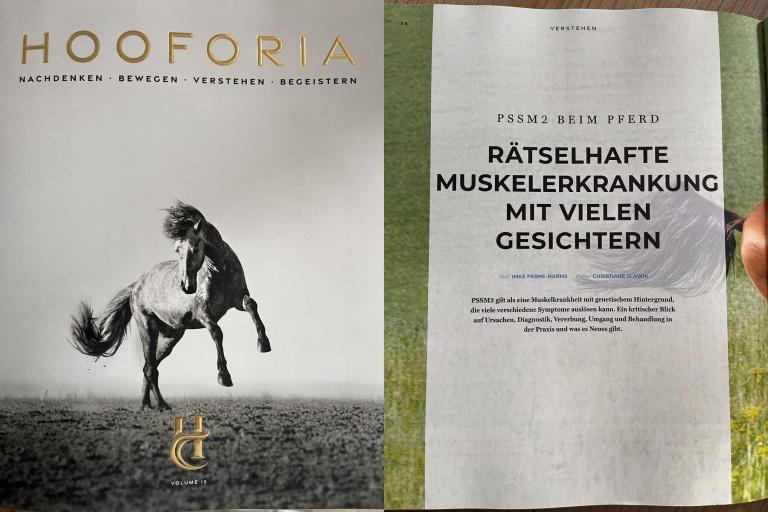PSSM1, PSSM2 und MIM beim Pferd – Zusammenhänge und Symptombewertung, Hooforia-Artikel mit Dr. Eberhard Manz, Generatio